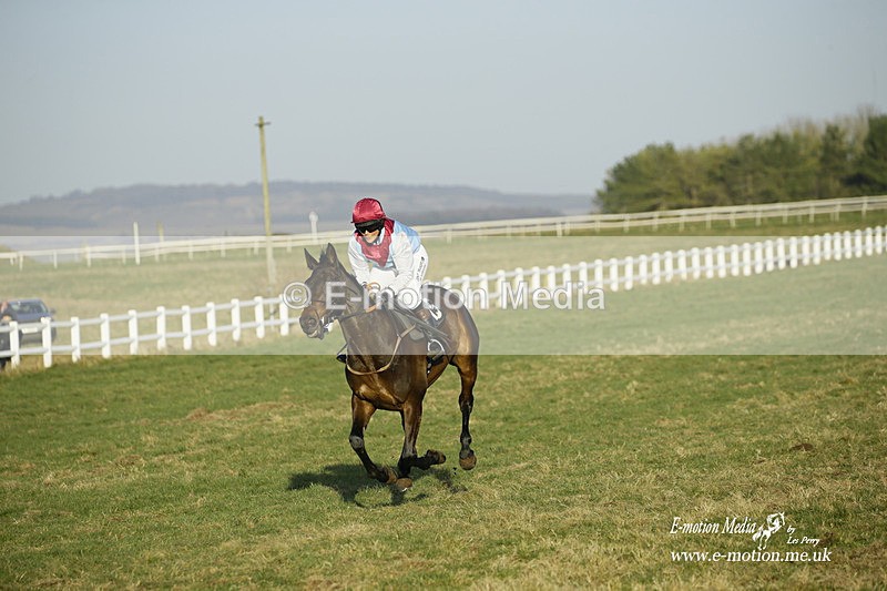 PtP 270222 638 - South & West Wilts Point-to-Point Larkhill 27/02/22