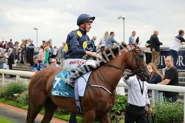 yr04092022r2-10 - Race 2 2.20pm John and Judith Marshall Memorial Stakes