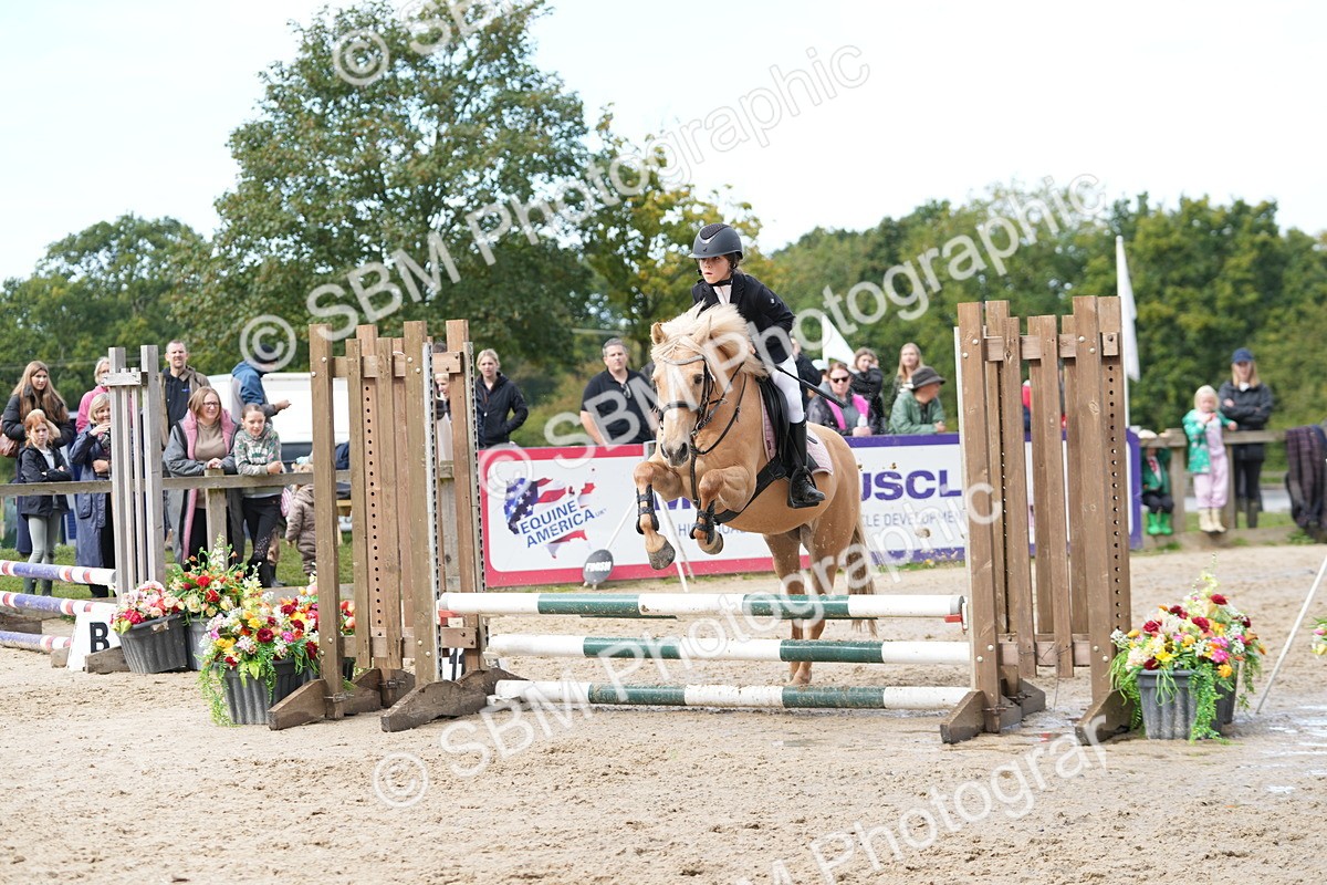 SBM_40044 - J6 - Junior Pony 55cm Championship