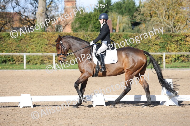 20251102-0886 - Class 5 - Elementary 5