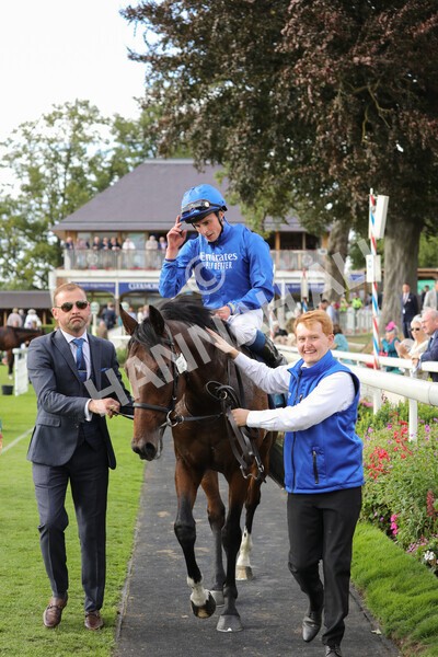 yr19082022r6-47 - Race 6 4.45 pm British Stallion Studs EBF Convivial Maiden Stakes