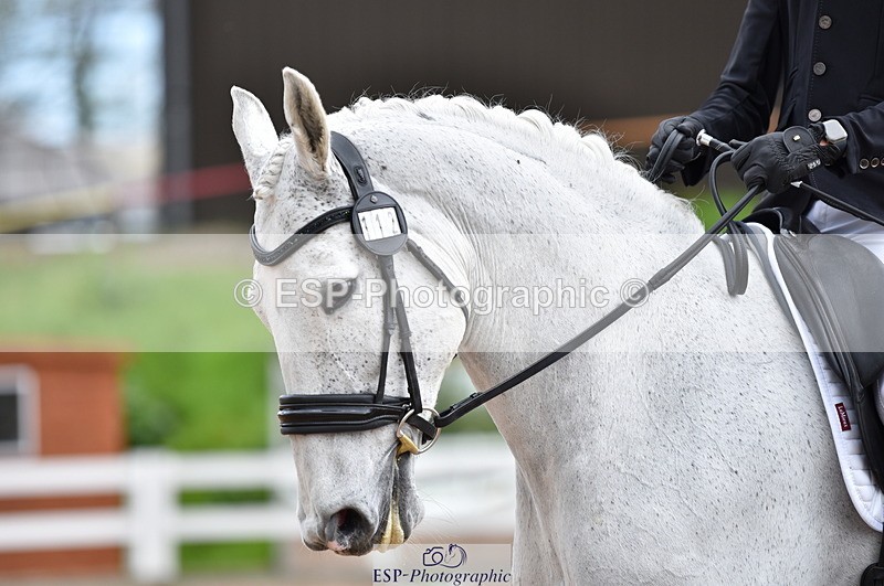 230511A-114715-00479 - BD Cls 7 Elementary 43