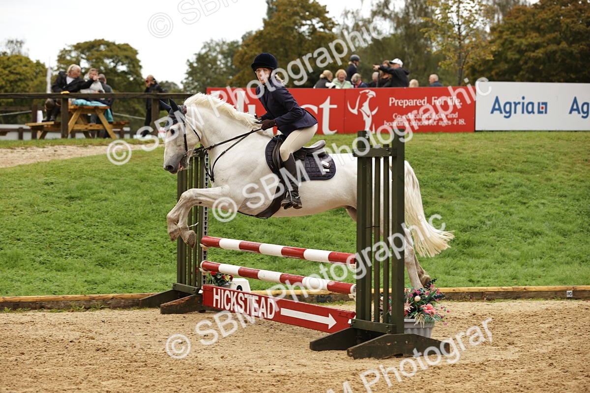 SBM_33046 - J38 - Senior Horse & Pony 80cm Championship