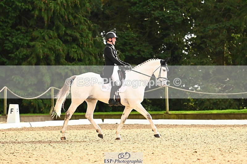 231020-142858-10257 - 207-CARRICK.DIAMOND.BARD-Alex.Holman-DR