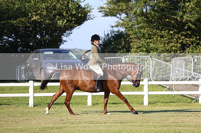 3E7A4956 - Class 1: Rising Star Small Hack/Riding Horses