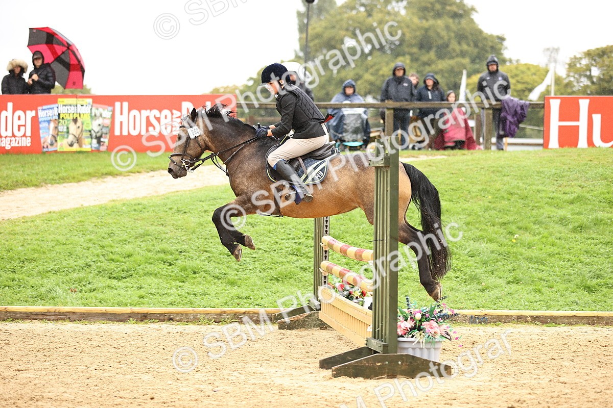 SBM_70025 - Supreme Championship 80cm 85cm