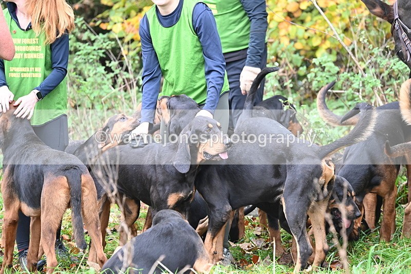 WJ6_8585 - Meet