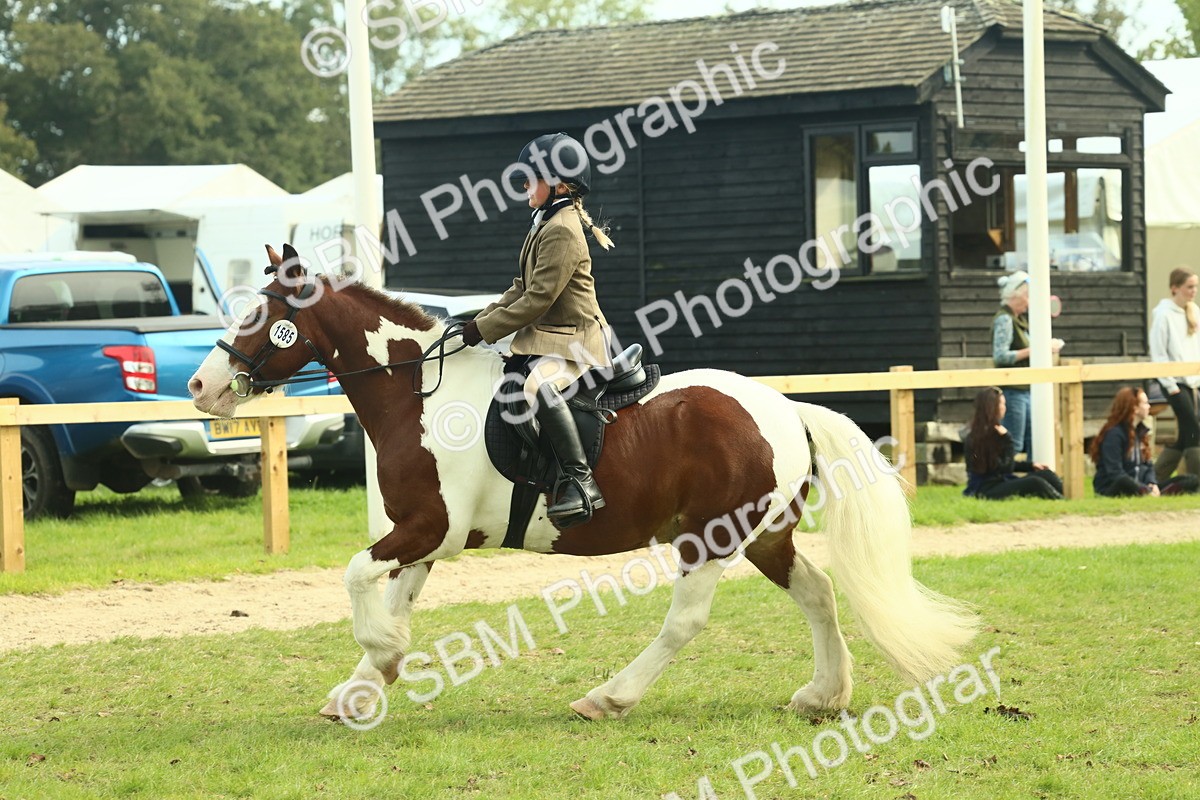 SBM_68238 - S58 - Mini Show Cob Ridden