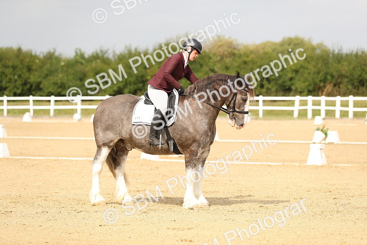 SBM_017323 - Class 13 - Novice 23 - 13.31-14.13