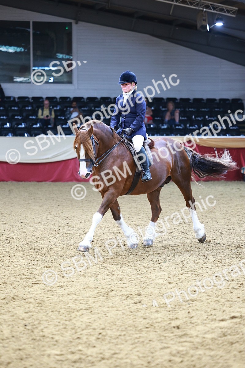 SBM_23407 - class 906 - Supreme Final - Ridden Pre Vet