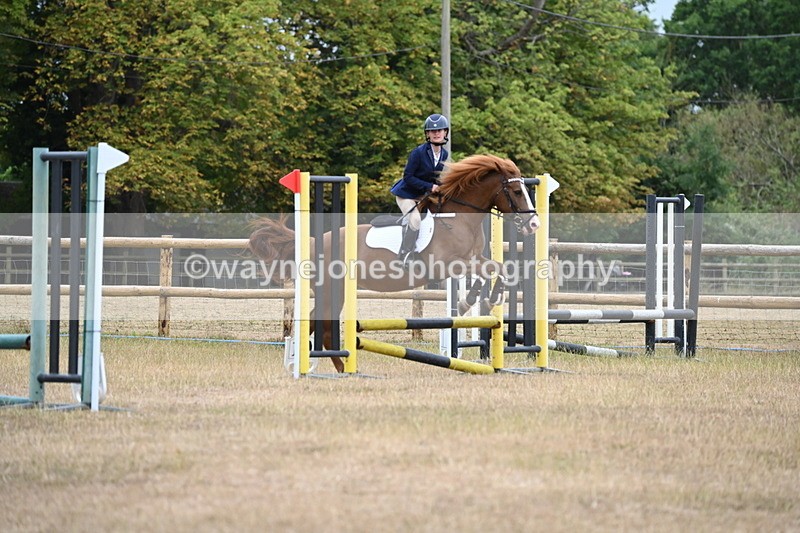WJ6_0219 - Class 13 Novice Jumping 60cm