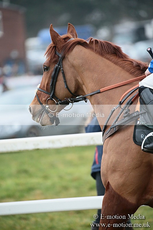 PtP 170219 -548 - Combined Services Point-To-Point Larkhill 17/02/19