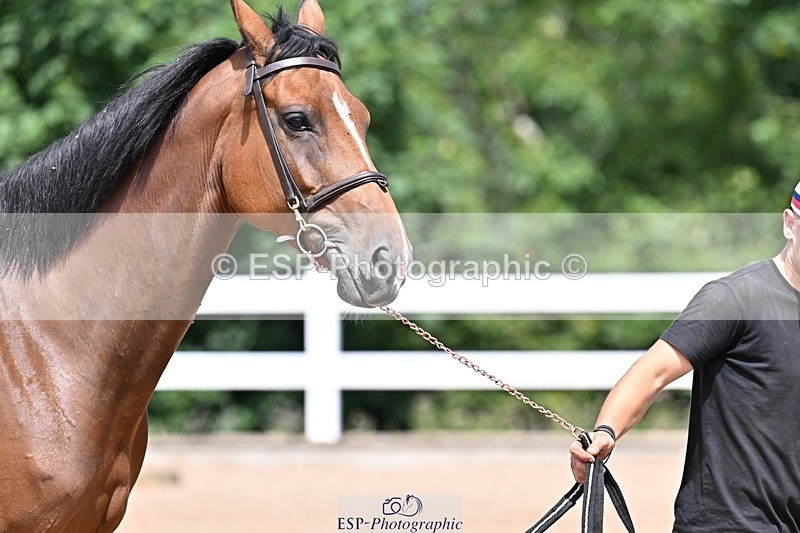 250716-124117-00109 - Trot Up 12.30 to 1.30