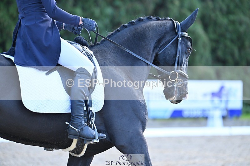 231019-125039-03217 - 118-JUMBELISSA-Hollie.Swain-DR