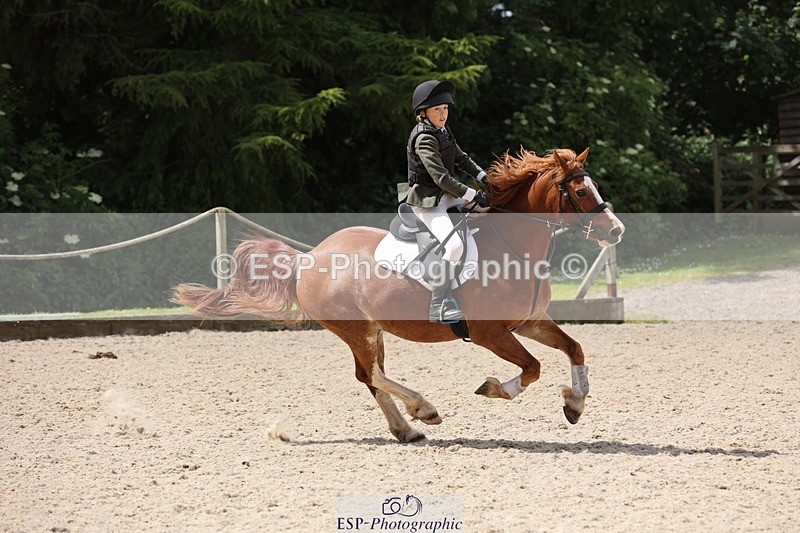 240616-111756-03437 - 60cm