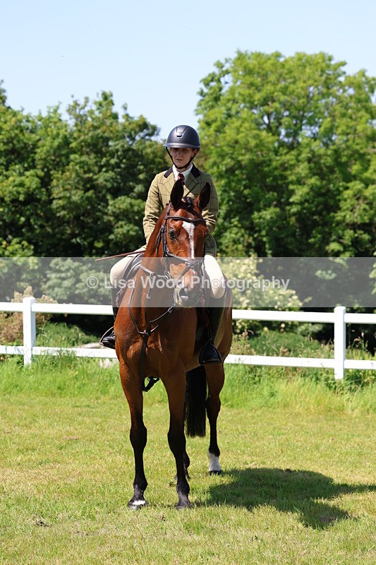 3E7A7323 - Class 30: Novice Working Hunter