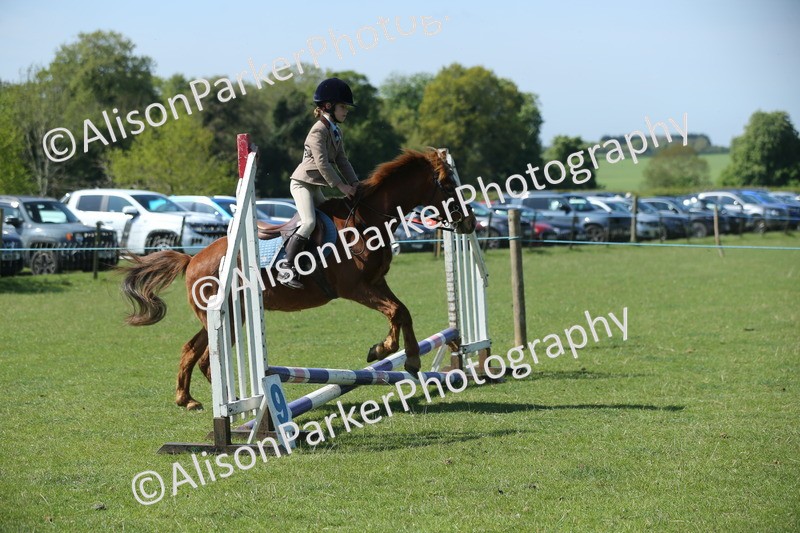 20250427-1939 - Class 2 - Mini Jumping 30cm