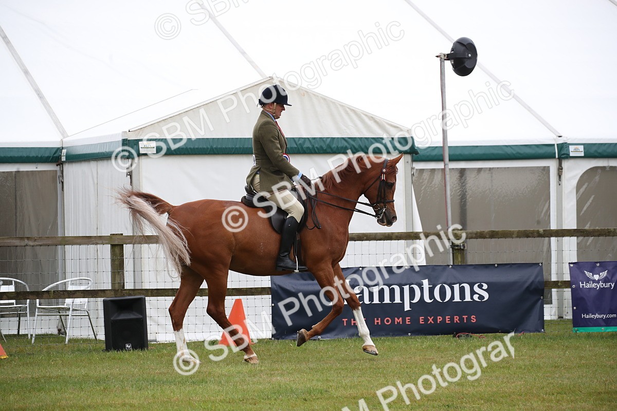 SBM_03656 - Class 21 - 22 - Ridden Arab and Part Bred/Anglo Arab