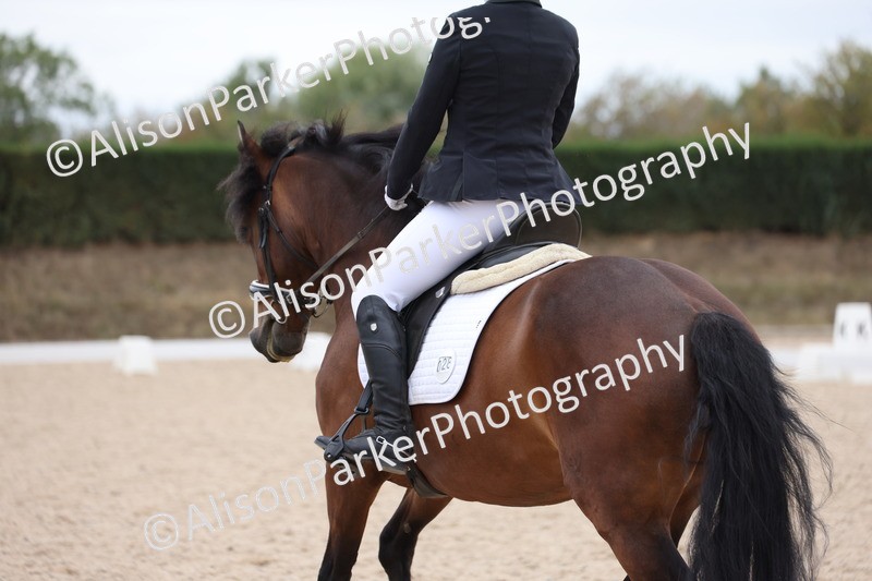 20250820-1099 - Class 17 - Elementary 4