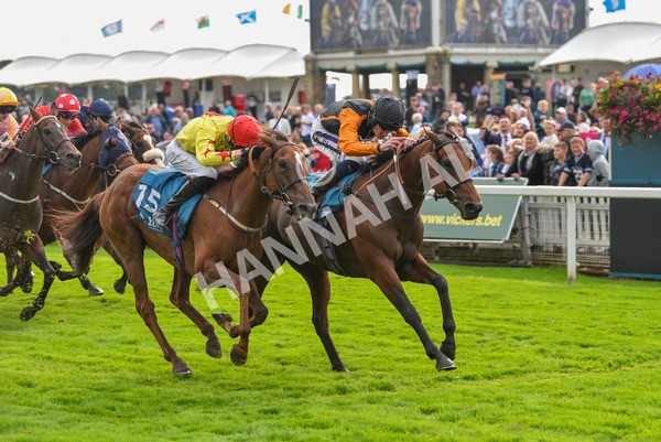 230923-Race 4-Aphelios-6499 - Race 4 3.45pm Jigsaw Sports Branding Handicap