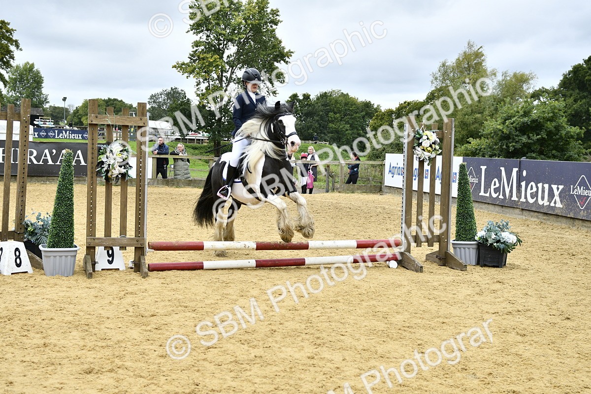 SBM_67990 - J2b - Mini Tour Junior Pony 30cm championship