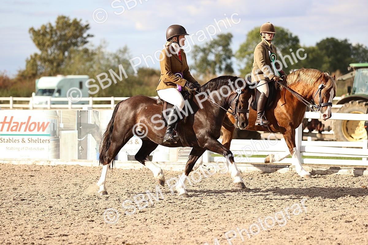 SBM_18305 - Class 423 - Equitation (best rider) Adult