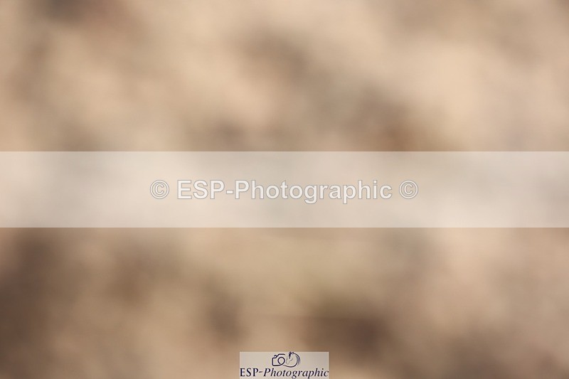 250622-085821-13828 - Cls 44 Prelim 5, Start to 9.20am