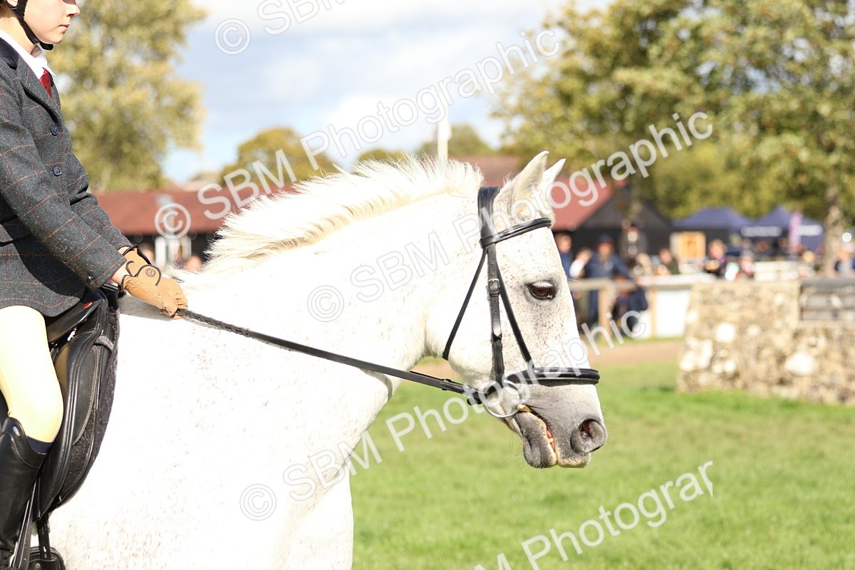 SBM_47844 - S28 - Veteran Ridden