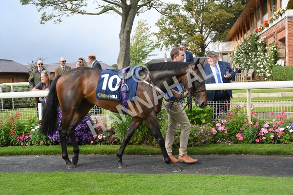 yr24092021r2-41 - Race 2 2.05pm William Hill Extra Places Races Stakes