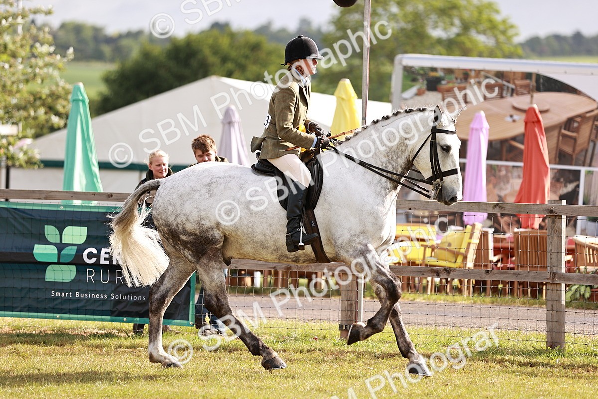 SBM_10831 - Class 81-84 - RIHS Ridden hunters Inc Ladies Hunter