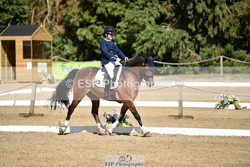 140110A-050238-12363 - 158-Alison.Crimp-Crwys.Beau