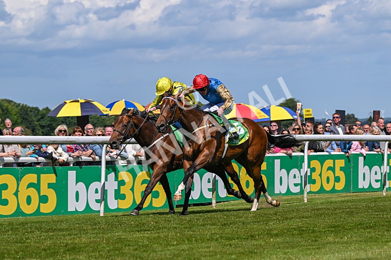 080624-Race 3-Shareholder-1030 - Race 3