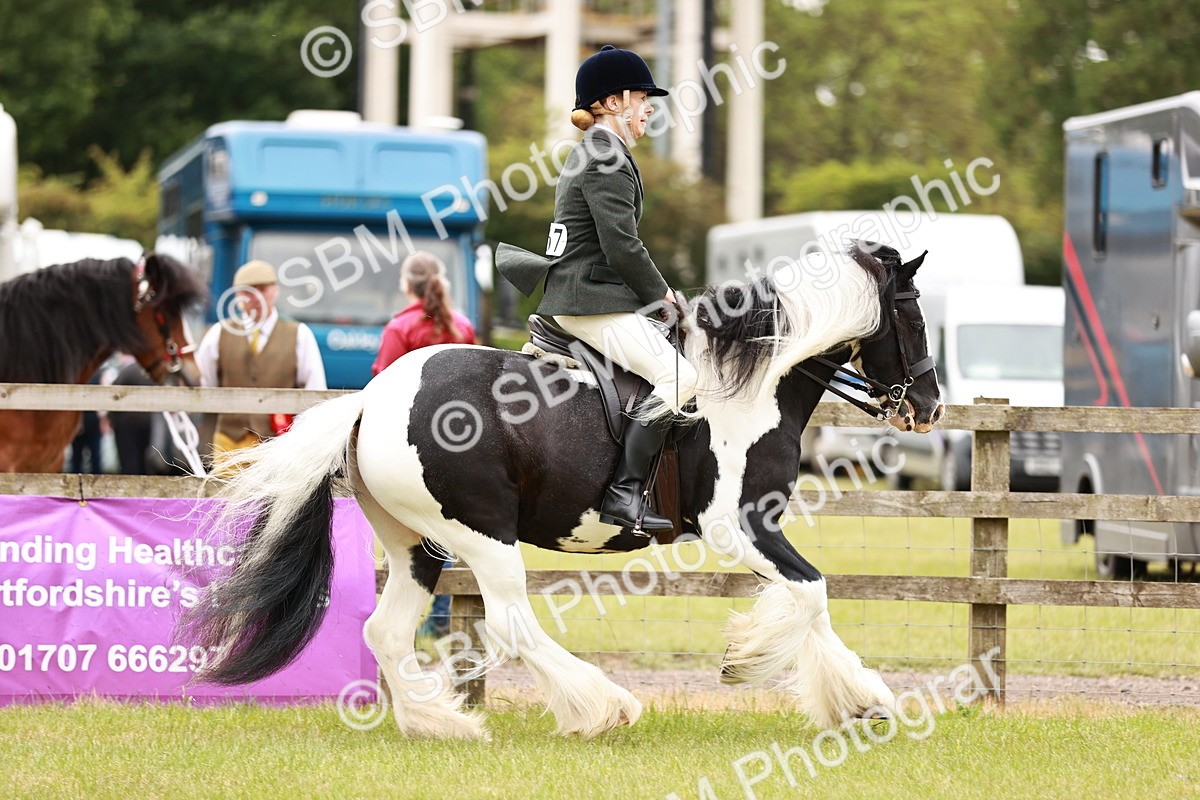 SBM_06179 - Class 39-41 TGCA In Hand and Ridden