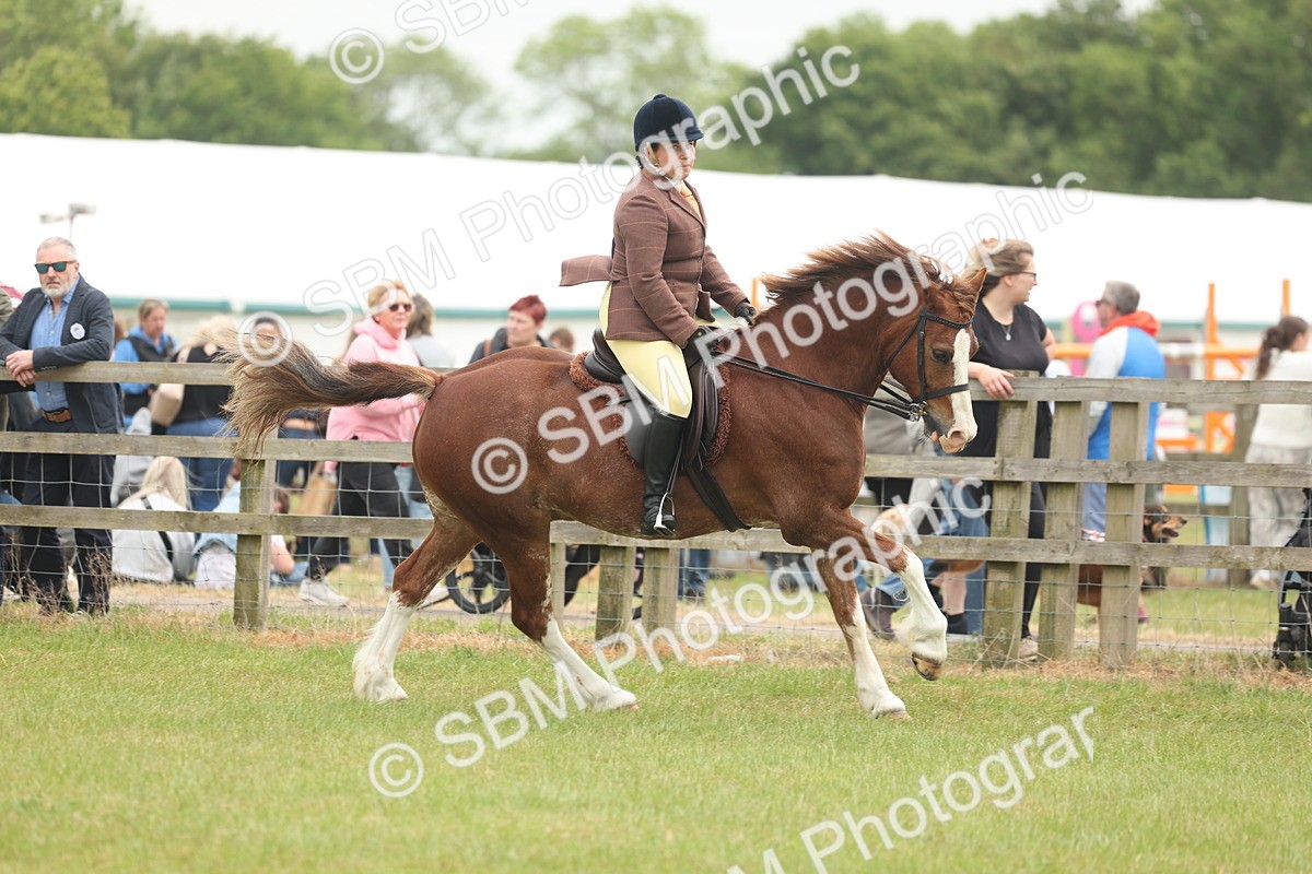 SBM_07185 - Class 76-77 - Ridden M&M Welsh Ponies
