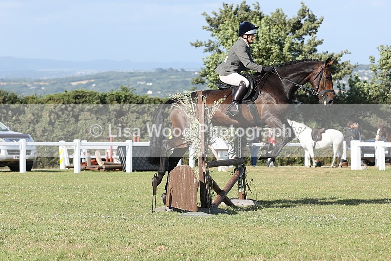 JPP_3113 - Class 21: Working Hunter 80cm