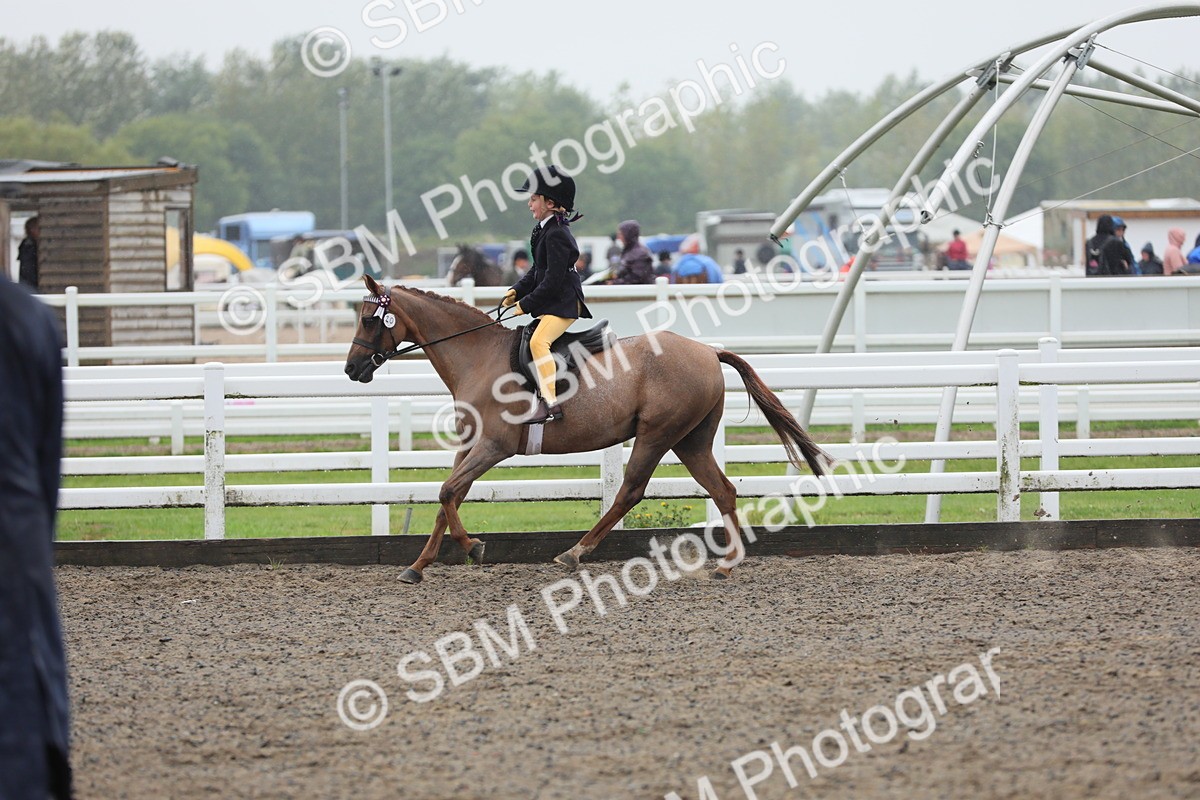 SBM_20598 - Class 804 - Ridden Veteran Pony