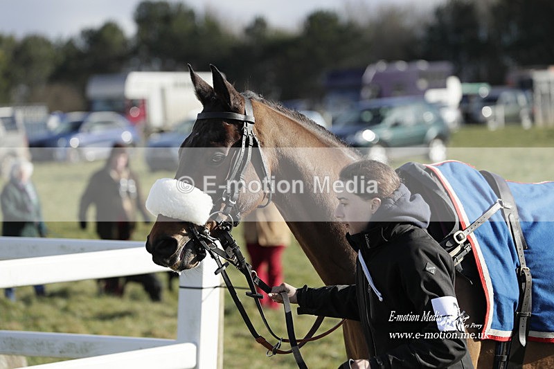 PtP 260223 872 - South & West Wilts Point-to-Point Larkhill 26/02/23