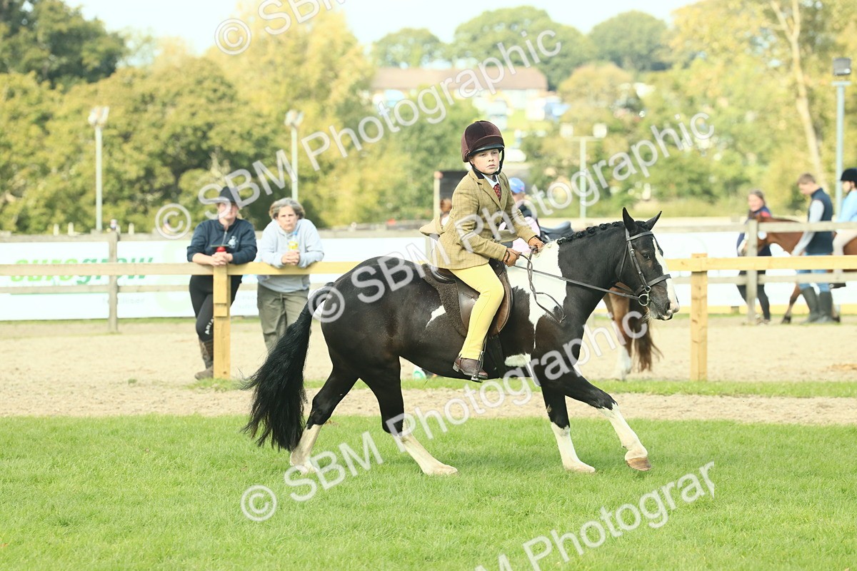 SBM_68889 - S58 - Mini Show Cob Ridden