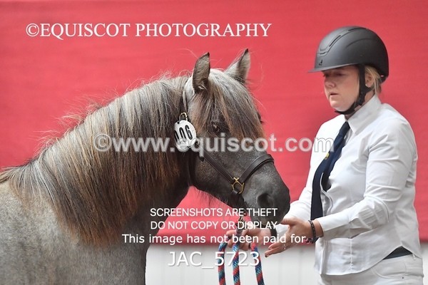 JAC_5723 - 6 Glenmuir Niamh