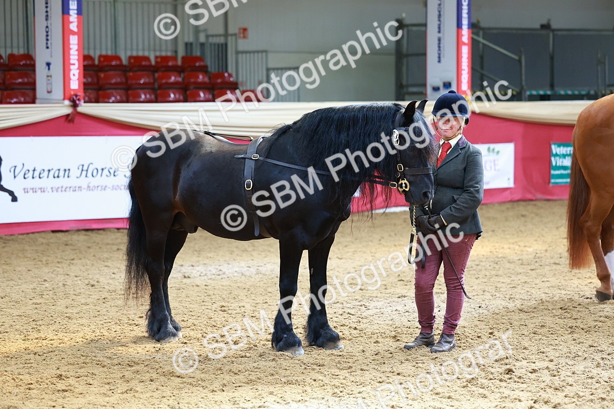 SBM_03065