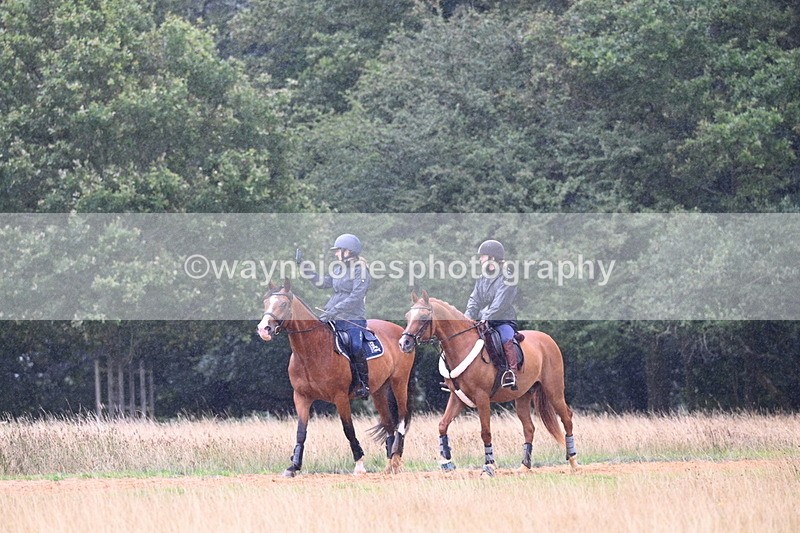 DSC_0704 - Time at Statue 10:58 to 11:53