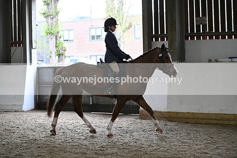 WJ7_3779 - Class 17 Ridden Cob