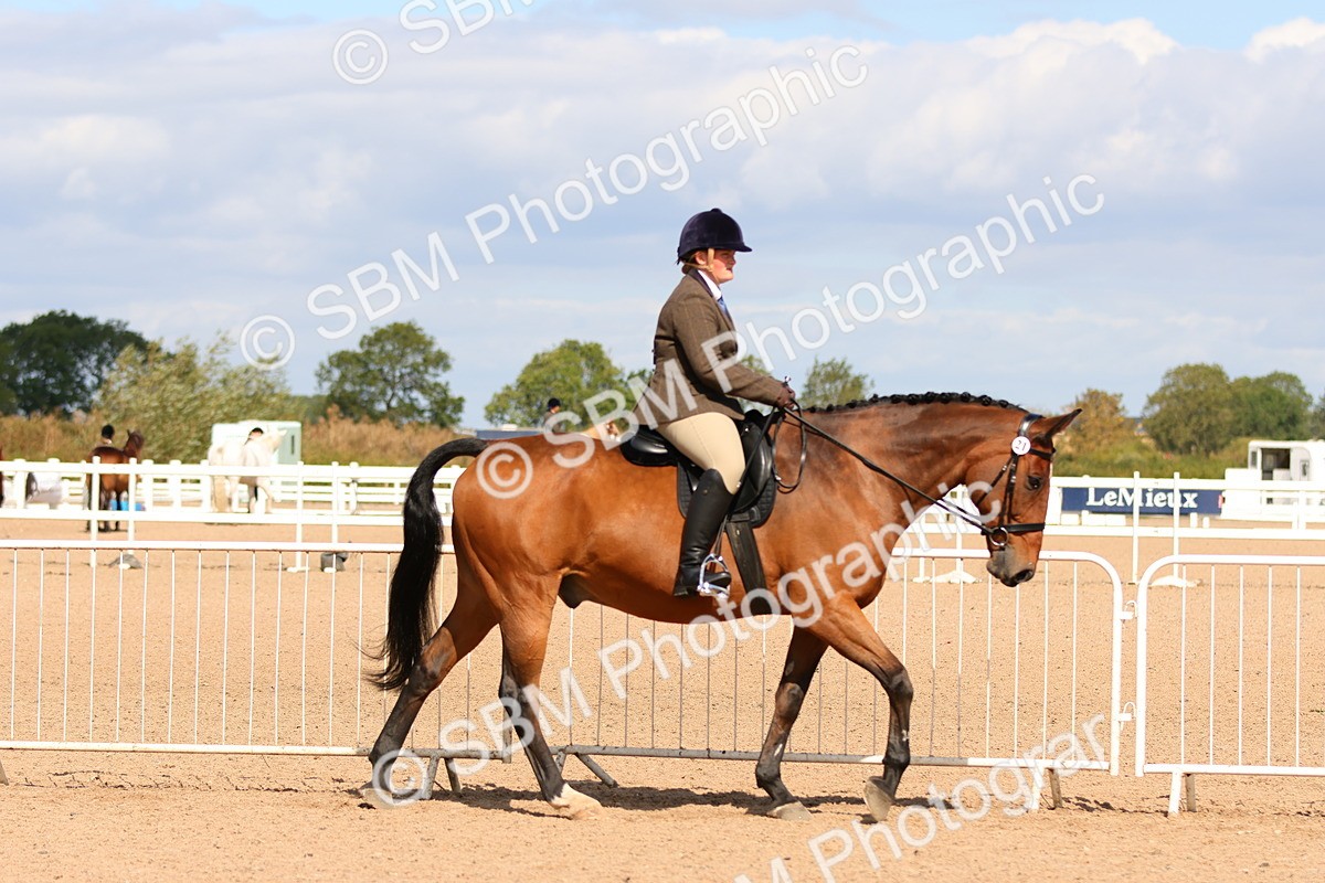 SBM_13457 - Class 212 - Ridden Hunter  - Large