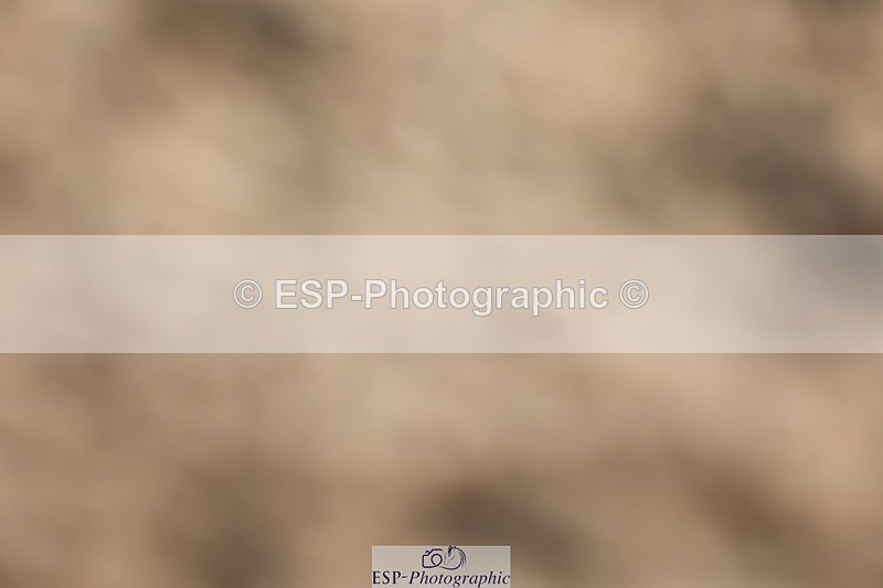 250622-083806-13763 - Cls 44 Prelim 5, Start to 9.20am