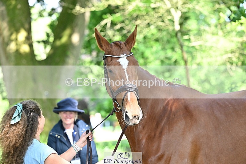 250521A-161531-01020 - C-261-Danielle.Dunn-ICI.DOR.DE.DONNA.CADANZA.Z