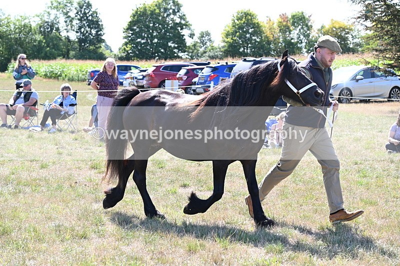 WJ6_4778 - Class 17 Mountain & Moorland