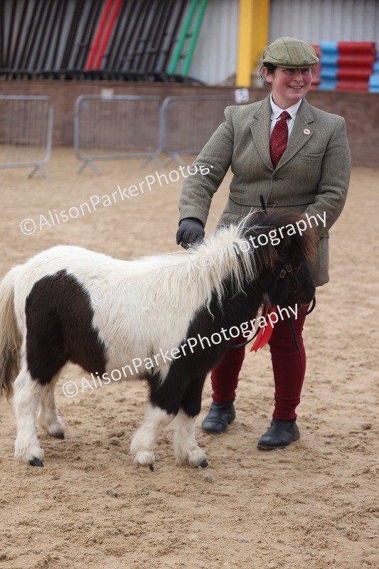 20251109-0175 - Class 9 - Foals