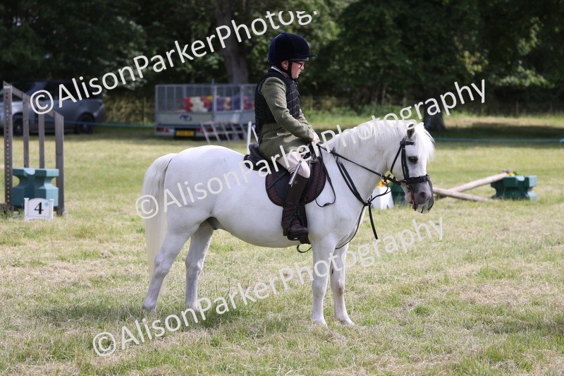 20260614-0722 - Class 20 - Beginners Working Hunter Pony