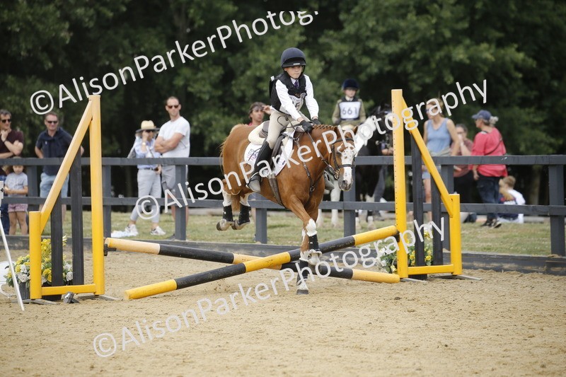 20250622-4637 - 50cm