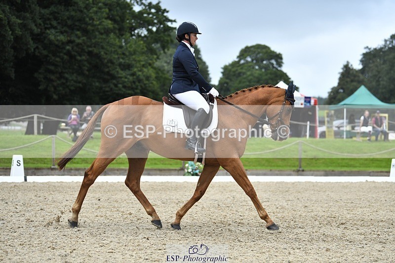 230812-122716-04123 - Cls 6 Novice Silver 12.10 to End